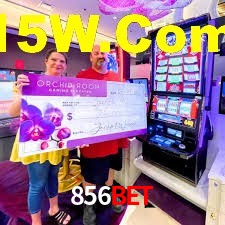 Descubra o Mundo do Cassino Online com 856bet